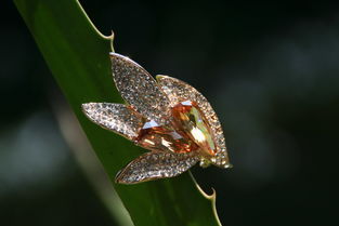 歌詩(shī)莉飾品 麥秸畫(huà)藝術(shù)點(diǎn)亮店鋪裝修，展現(xiàn)獨(dú)特產(chǎn)品魅力
